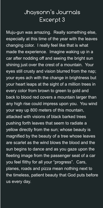 Jhaysonn’s JournalsExcerpt 3 Muju-gun was amazing.  Really something else, especially at this time of the year with the leaves changing color.  I really feel like that is what made the experience.  Imagine waking up in a car after nodding off and seeing the bright sun shining just over the crest of a mountain.  Your eyes still crusty and vision blurred from the nap; your eyes ach with the change in brightness but your heart leaps at the sight of a million trees in every color from brown to green to gold and back to blood red covers a mountain larger than any high rise could impress upon you.  You wind your way up 800 meters of this mountain, attacked with visions of black barked trees pushing forth leaves that seem to radiate a yellow directly from the sun; whose beauty is magnified by the beauty of a tree whose leaves are scarlet as the wind blows the blood and the sun begins to dance and as you gaze upon the fleeting image from the passenger seat of a car you feel filthy for all your “progress”.  Cars, planes, roads and pizza mean nothing next to the timeless, patient beauty that God puts before us every day.